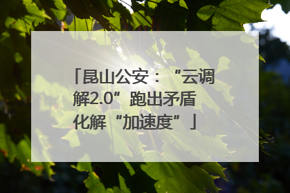 昆山公安：“云调解2.0”跑出矛盾化解“加速度”