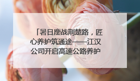 暑日鏖战荆楚路，匠心养护筑通途——江汉公司开启高速公路养护专项工程建设热潮