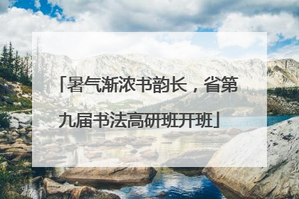暑气渐浓书韵长，省第九届书法高研班开班
