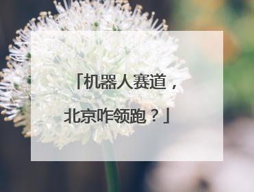 机器人赛道，北京咋领跑？