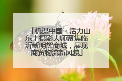 机遇中国・活力山东丨摄影大师聚焦临沂新明辉商城，展现商贸物流新风貌