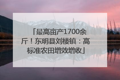 最高亩产1700余斤！东明县刘楼镇：高标准农田增效增收