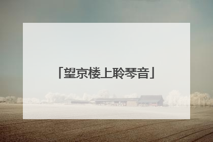 望京楼上聆琴音