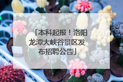 本科起报！洛阳龙潭大峡谷景区发布招聘公告