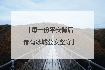 每一份平安背后 都有冰城公安坚守