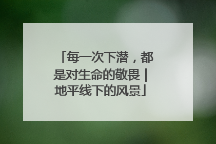 每一次下潜，都是对生命的敬畏｜地平线下的风景