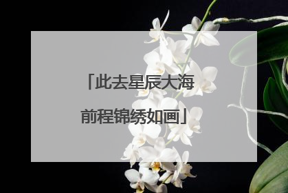此去星辰大海 前程锦绣如画
