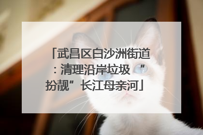 武昌区白沙洲街道：清理沿岸垃圾 “扮靓”长江母亲河