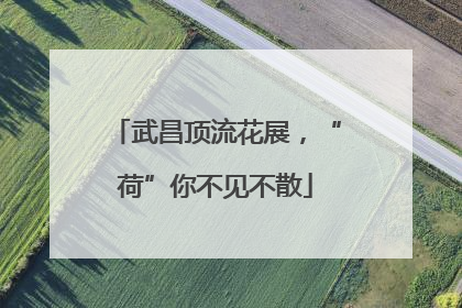 武昌顶流花展，“荷”你不见不散