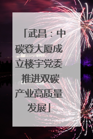 武昌：中碳登大厦成立楼宇党委 推进双碳产业高质量发展