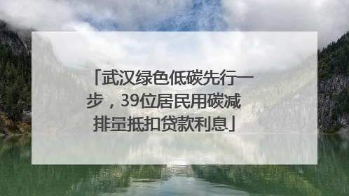 武汉绿色低碳先行一步，39位居民用碳减排量抵扣贷款利息