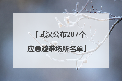 武汉公布287个应急避难场所名单