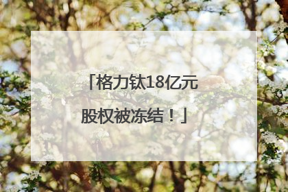格力钛18亿元股权被冻结！