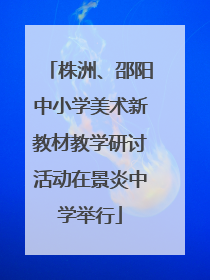 株洲、邵阳中小学美术新教材教学研讨活动在景炎中学举行