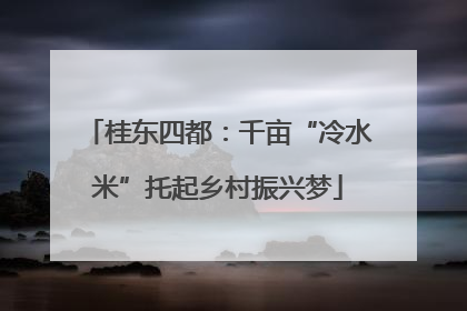 桂东四都：千亩“冷水米”托起乡村振兴梦