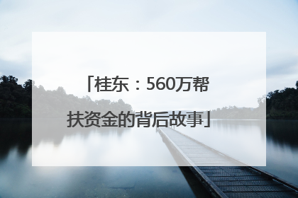 桂东：560万帮扶资金的背后故事