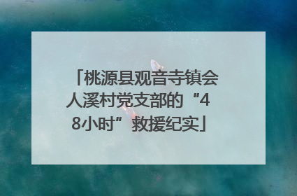 桃源县观音寺镇会人溪村党支部的“48小时”救援纪实