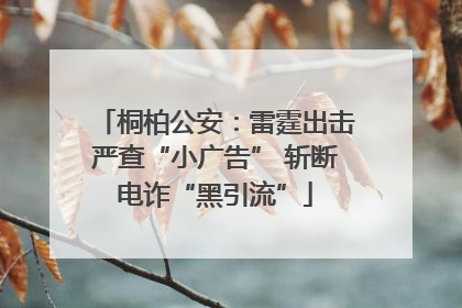 桐柏公安：雷霆出击严查“小广告” 斩断电诈“黑引流”