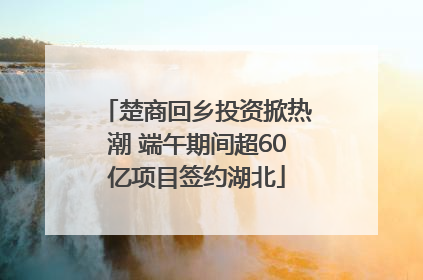 楚商回乡投资掀热潮 端午期间超60亿项目签约湖北