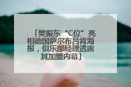 樊振东“C位”亮相德国萨尔布吕肯海报，俱乐部经理透露其加盟内幕
