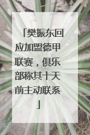 樊振东回应加盟德甲联赛，俱乐部称其十天前主动联系