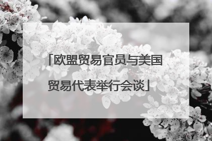 欧盟贸易官员与美国贸易代表举行会谈