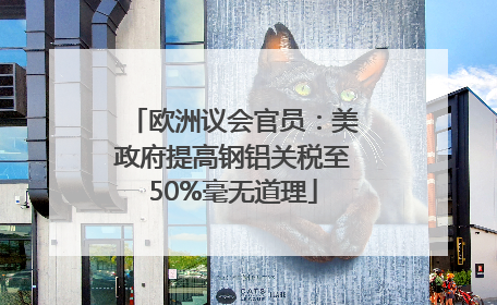 欧洲议会官员：美政府提高钢铝关税至50%毫无道理