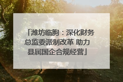 潍坊临朐：深化财务总监委派制改革 助力县属国企合规经营