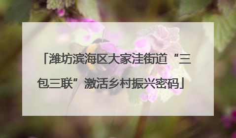潍坊滨海区大家洼街道“三包三联”激活乡村振兴密码