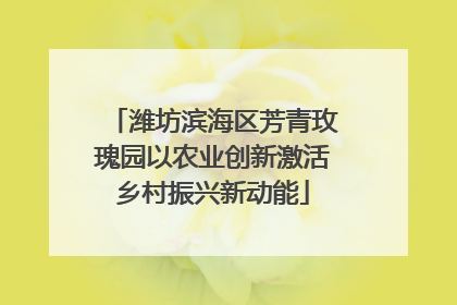潍坊滨海区芳青玫瑰园以农业创新激活乡村振兴新动能