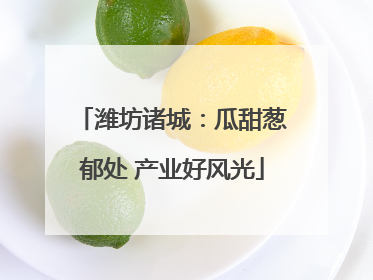 潍坊诸城：瓜甜葱郁处 产业好风光