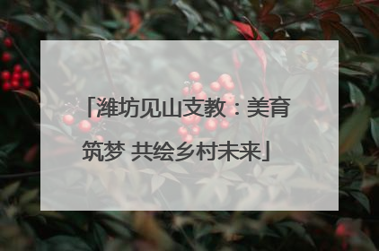 潍坊见山支教：美育筑梦 共绘乡村未来