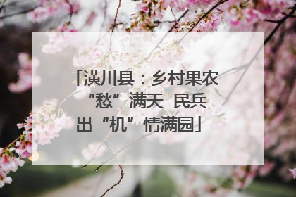 潢川县：乡村果农“愁”满天  民兵出“机”情满园
