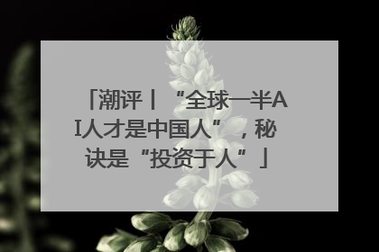 潮评丨“全球一半AI人才是中国人”，秘诀是“投资于人”