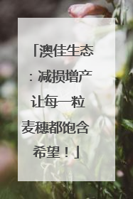 澳佳生态：减损增产 让每一粒麦穗都饱含希望！