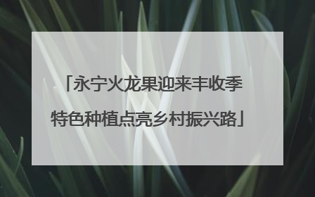 永宁火龙果迎来丰收季 特色种植点亮乡村振兴路