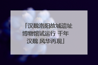 汉魏洛阳故城遗址博物馆试运行 千年汉魏 风华再现