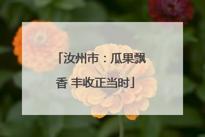 汝州市：瓜果飘香 丰收正当时