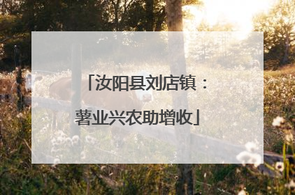 汝阳县刘店镇：薯业兴农助增收