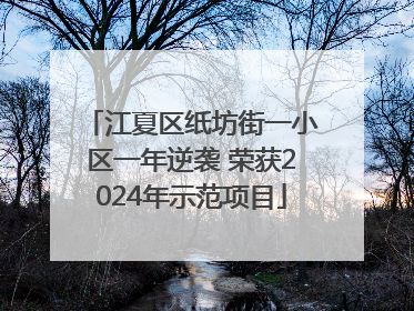 江夏区纸坊街一小区一年逆袭 荣获2024年示范项目