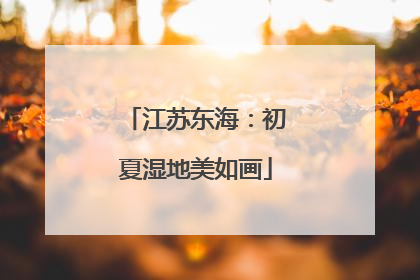 江苏东海：初夏湿地美如画