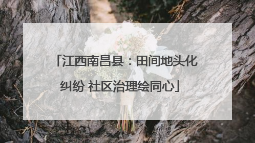 江西南昌县：田间地头化纠纷 社区治理绘同心