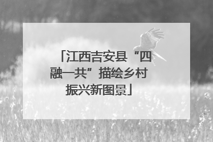 江西吉安县“四融一共”描绘乡村振兴新图景