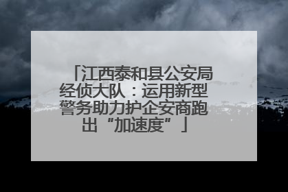 江西泰和县公安局经侦大队：运用新型警务助力护企安商跑出“加速度”