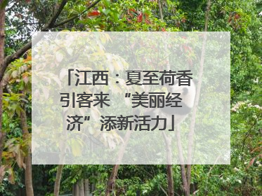江西：夏至荷香引客来 “美丽经济”添新活力
