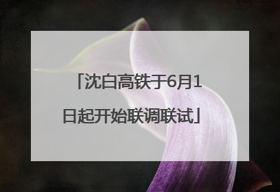 沈白高铁于6月1日起开始联调联试