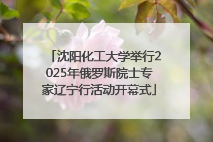 沈阳化工大学举行2025年俄罗斯院士专家辽宁行活动开幕式