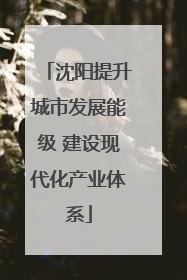 沈阳提升城市发展能级 建设现代化产业体系