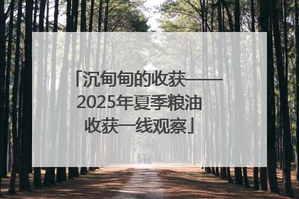 沉甸甸的收获——2025年夏季粮油收获一线观察