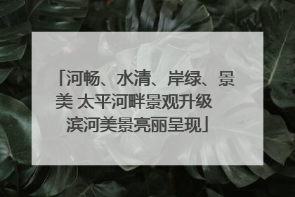河畅、水清、岸绿、景美 太平河畔景观升级 滨河美景亮丽呈现